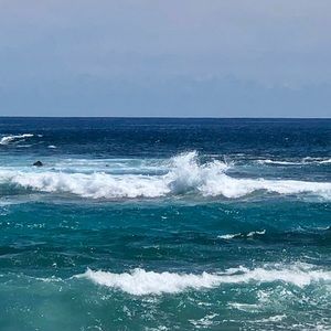 Meet your Posher, Margaret